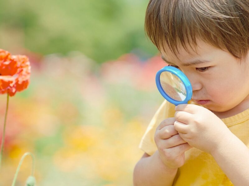 🔍 小さな発見が、好奇心を育てます。 自然の不思議に目を輝かせて。